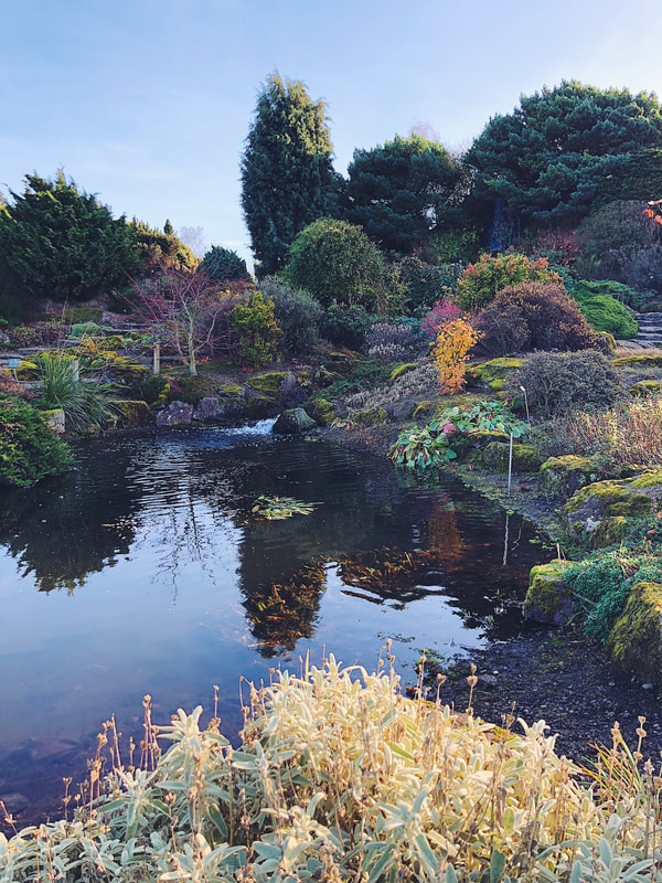 Image of the Royal Botanical Garden Edinburgh. The landscape is mostly green with a few pops of color such as purple and orange. There's bushes, trees, and a small body of water.
