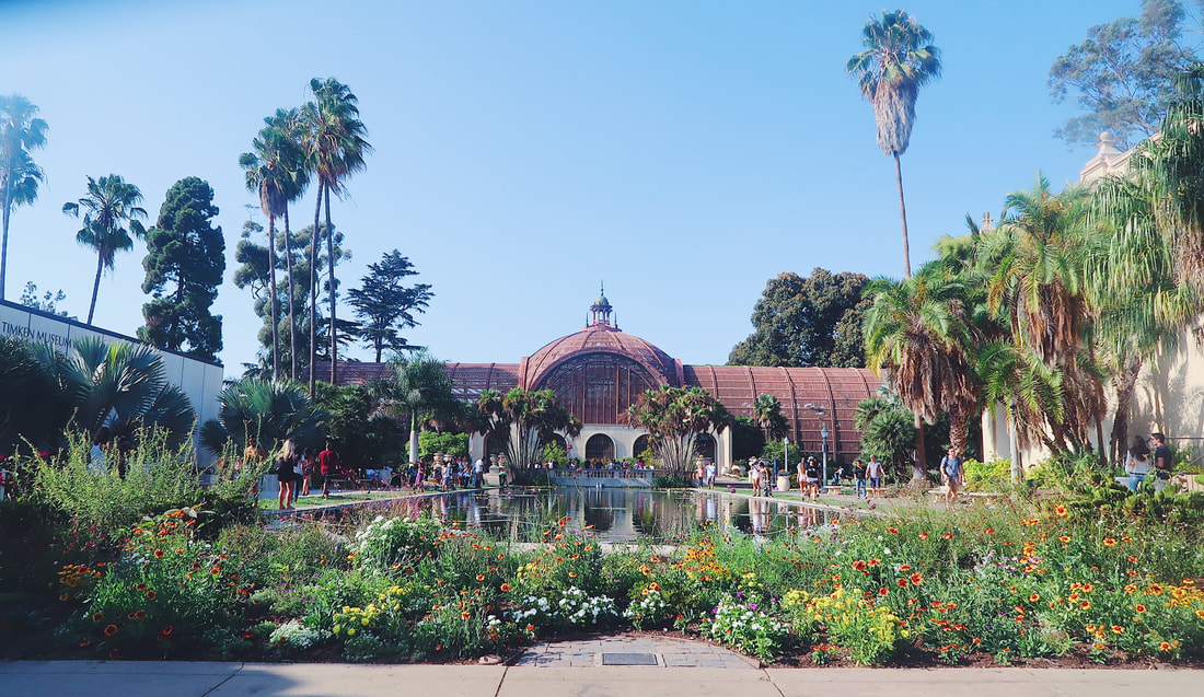 An image of a building at Balboa Park. Plants, palm trees, and a pool of water are in front of the building. The photo has a slightly vintage aesthetic.